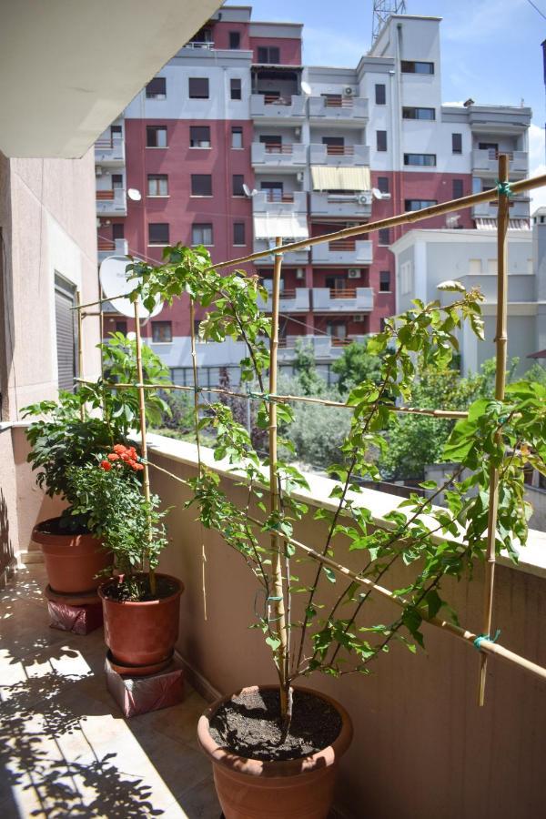 New Apartment Zoe Шкодер Экстерьер фото
